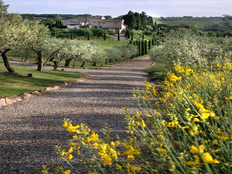 Tenuta Sant'Ilario, foto 12