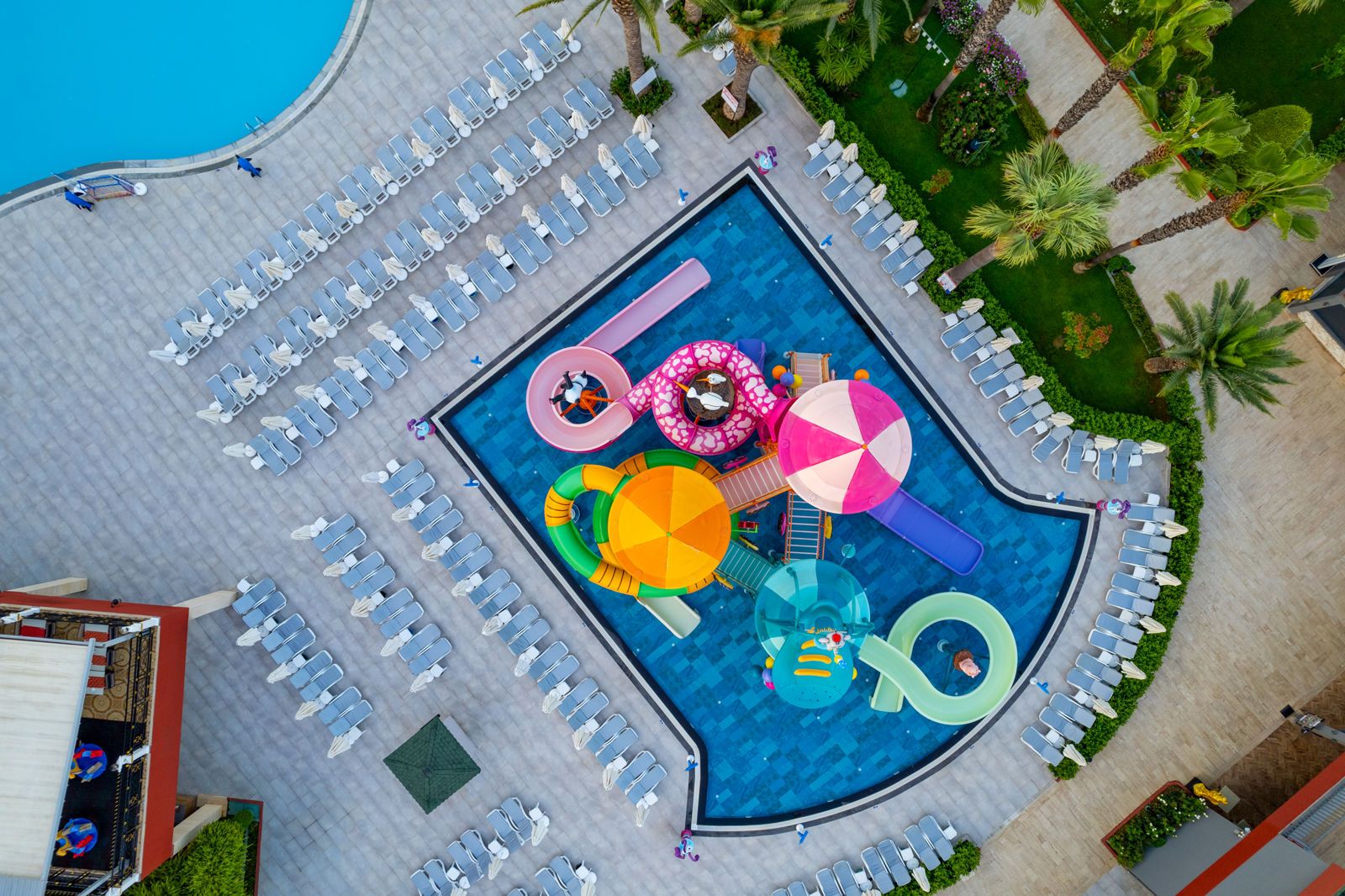 Delphin Deluxe, foto 4