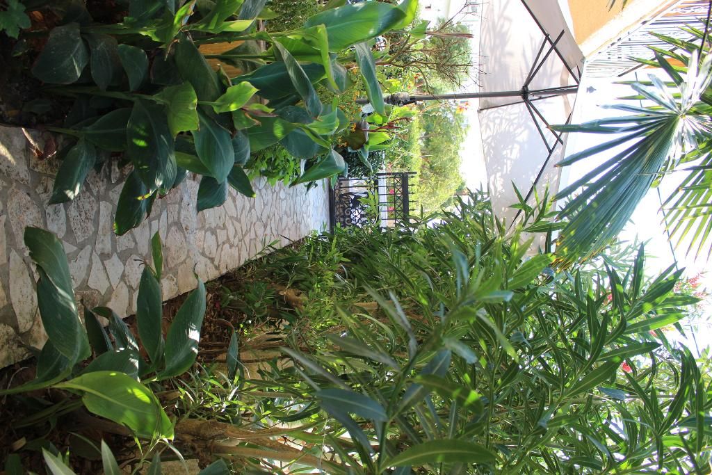 Villa Nefeli, foto 10