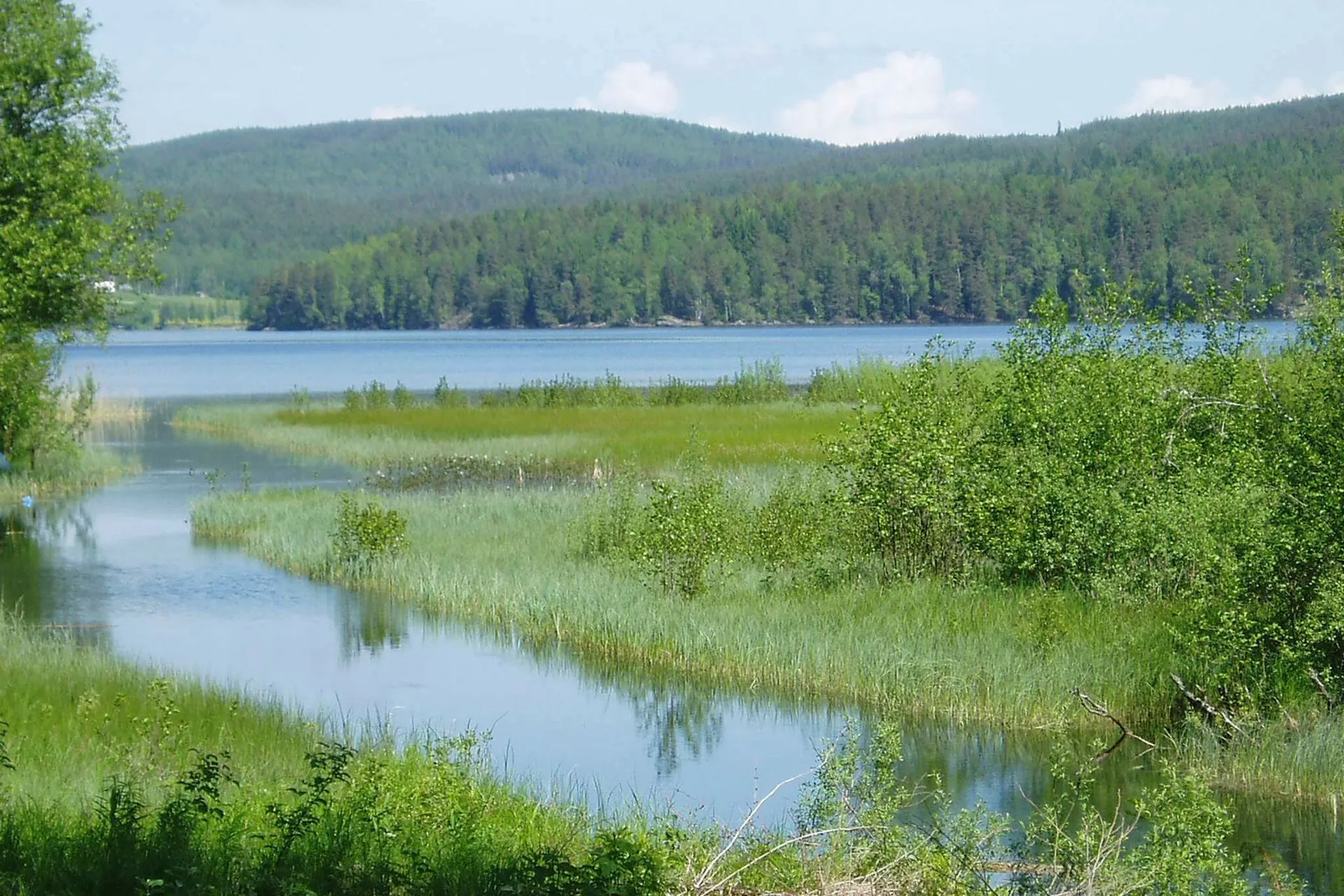 Uitzicht op het water
