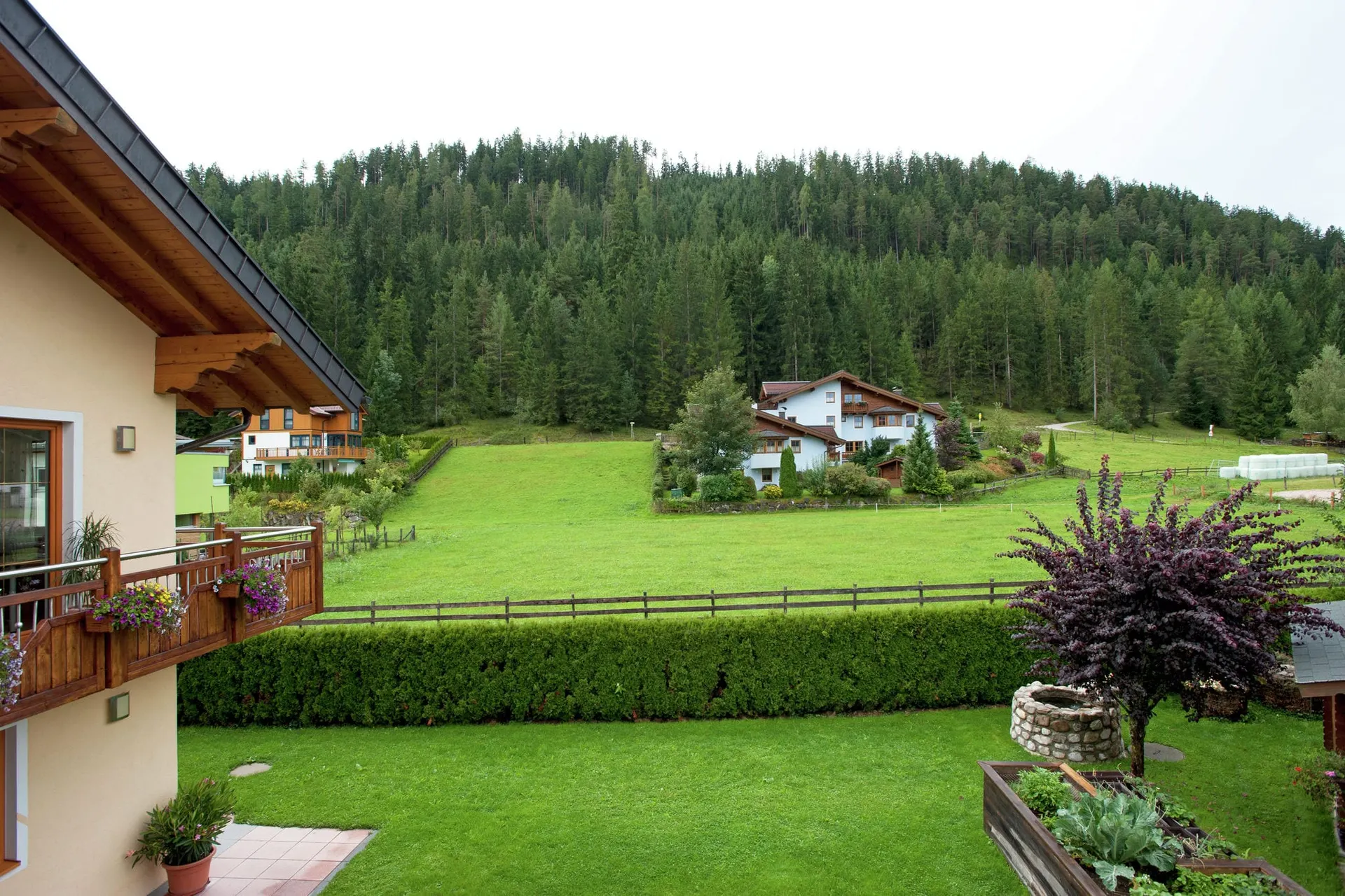 Vue de la maison de vacances (été)