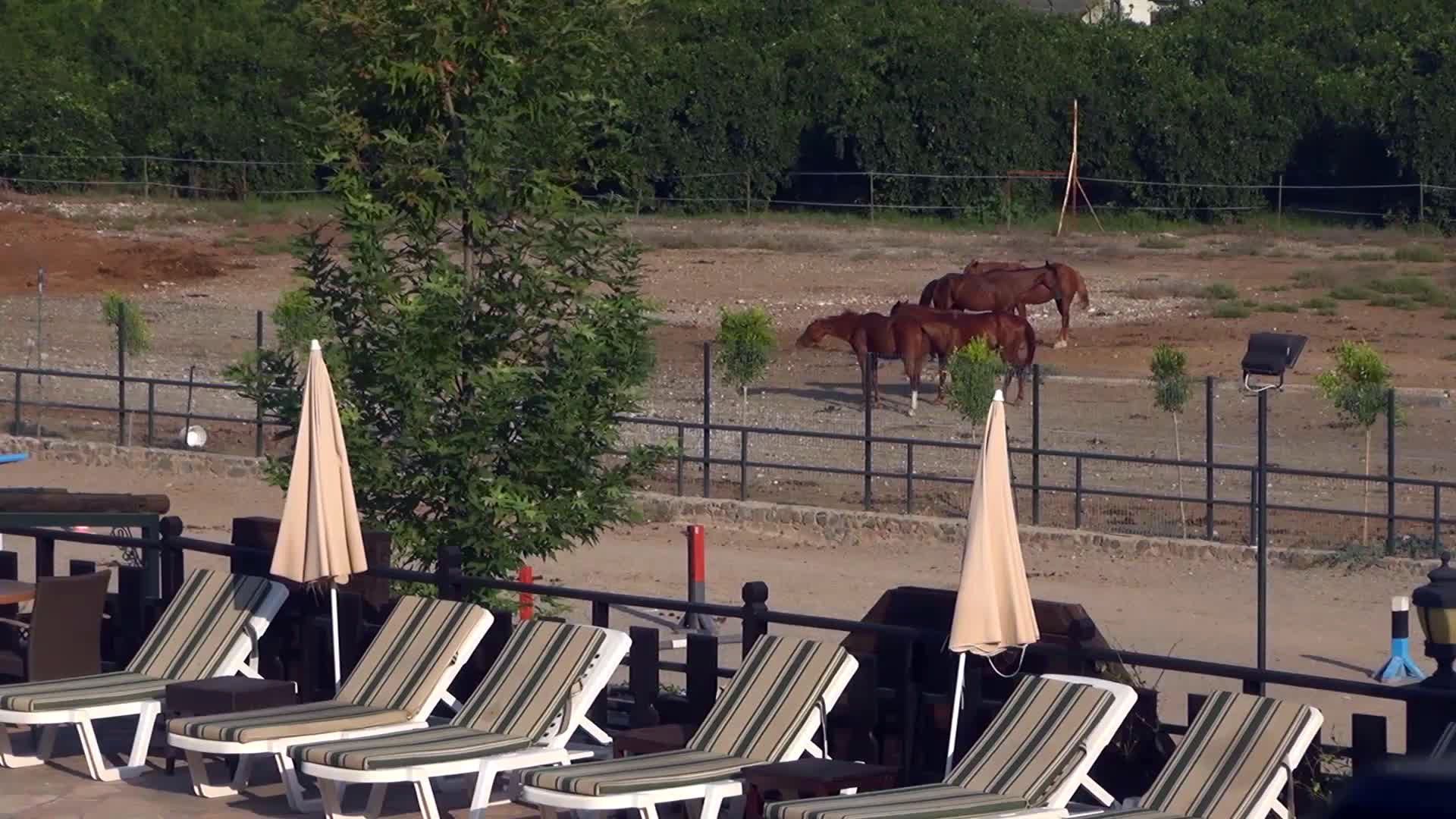 Hotel Berke Ranch & Nature, foto 13