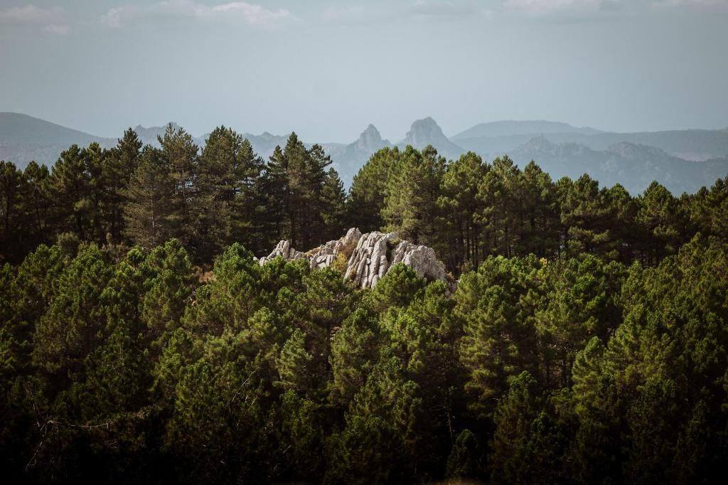 Vallicciola Monte Limbara Nature Hotel, foto 11