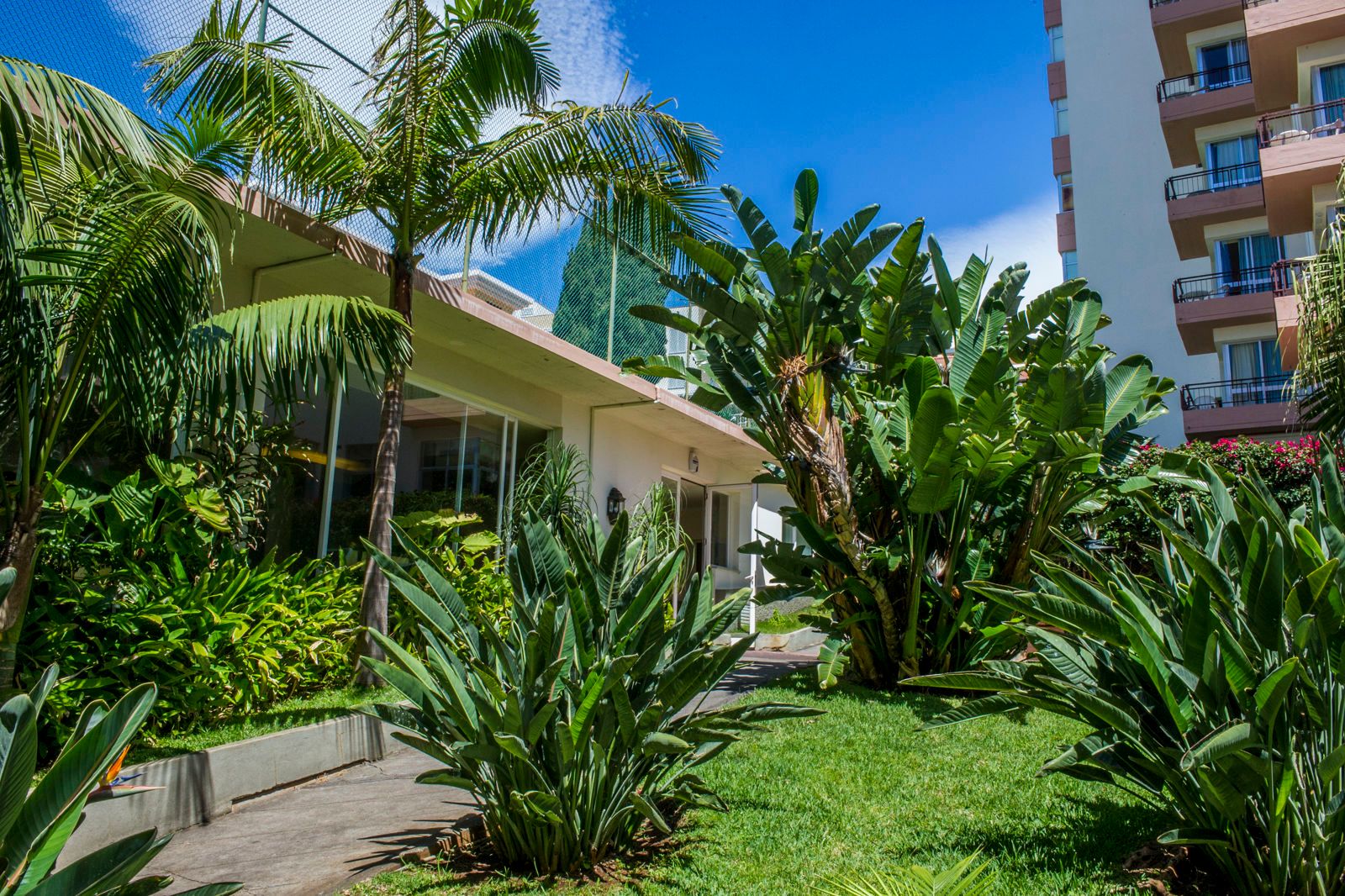 Dorisol Mimosa Studio Hotel, foto 14