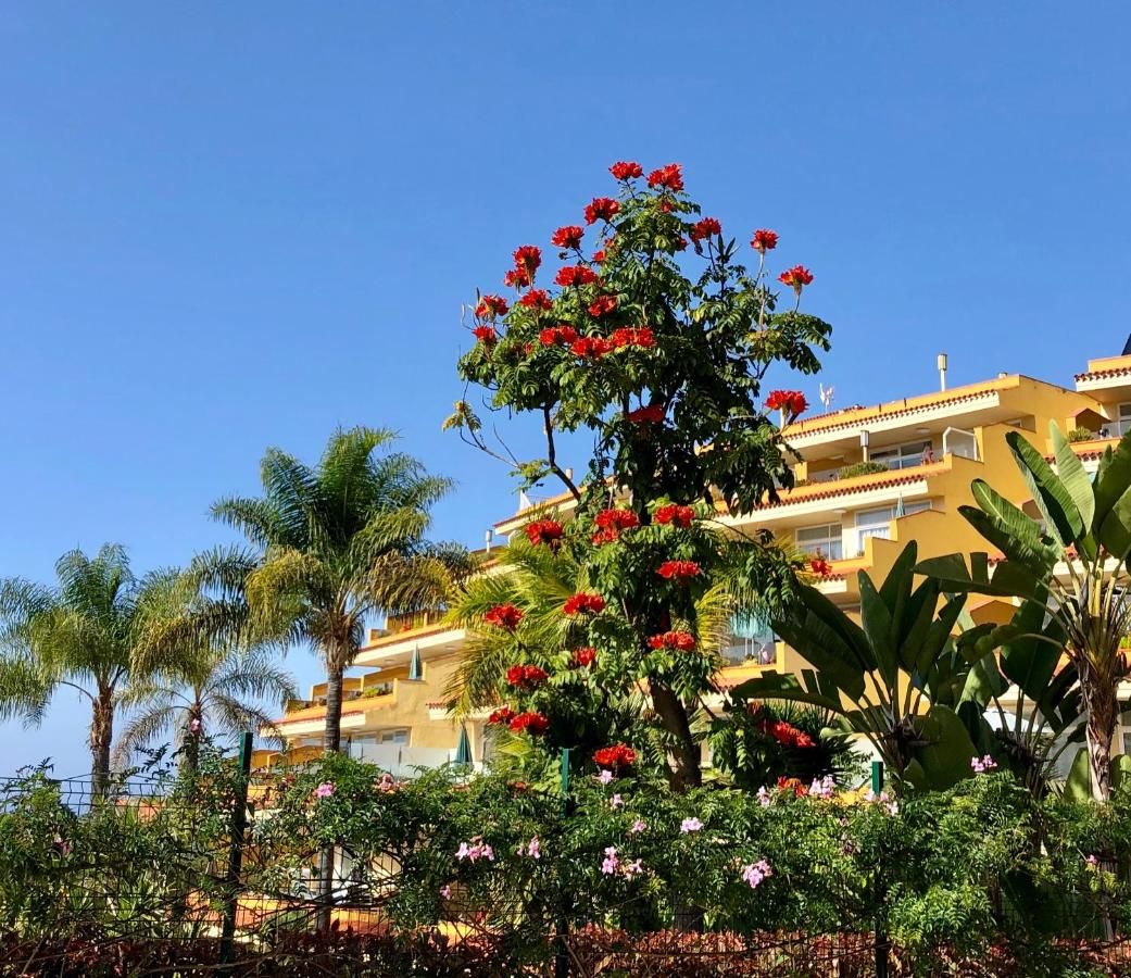 Tigaiga Suites , foto 2