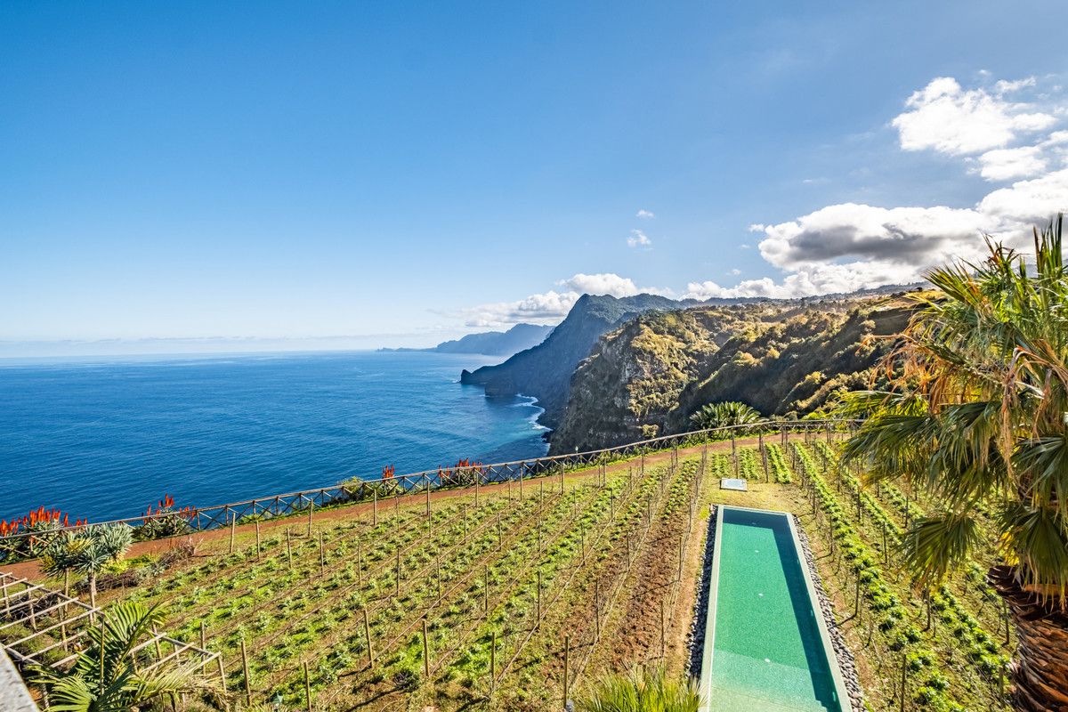 Quinta do Furão, foto 3