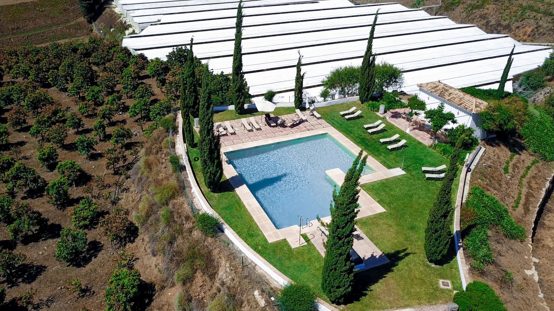 B bou Hotel Cortijo Bravo, foto 4