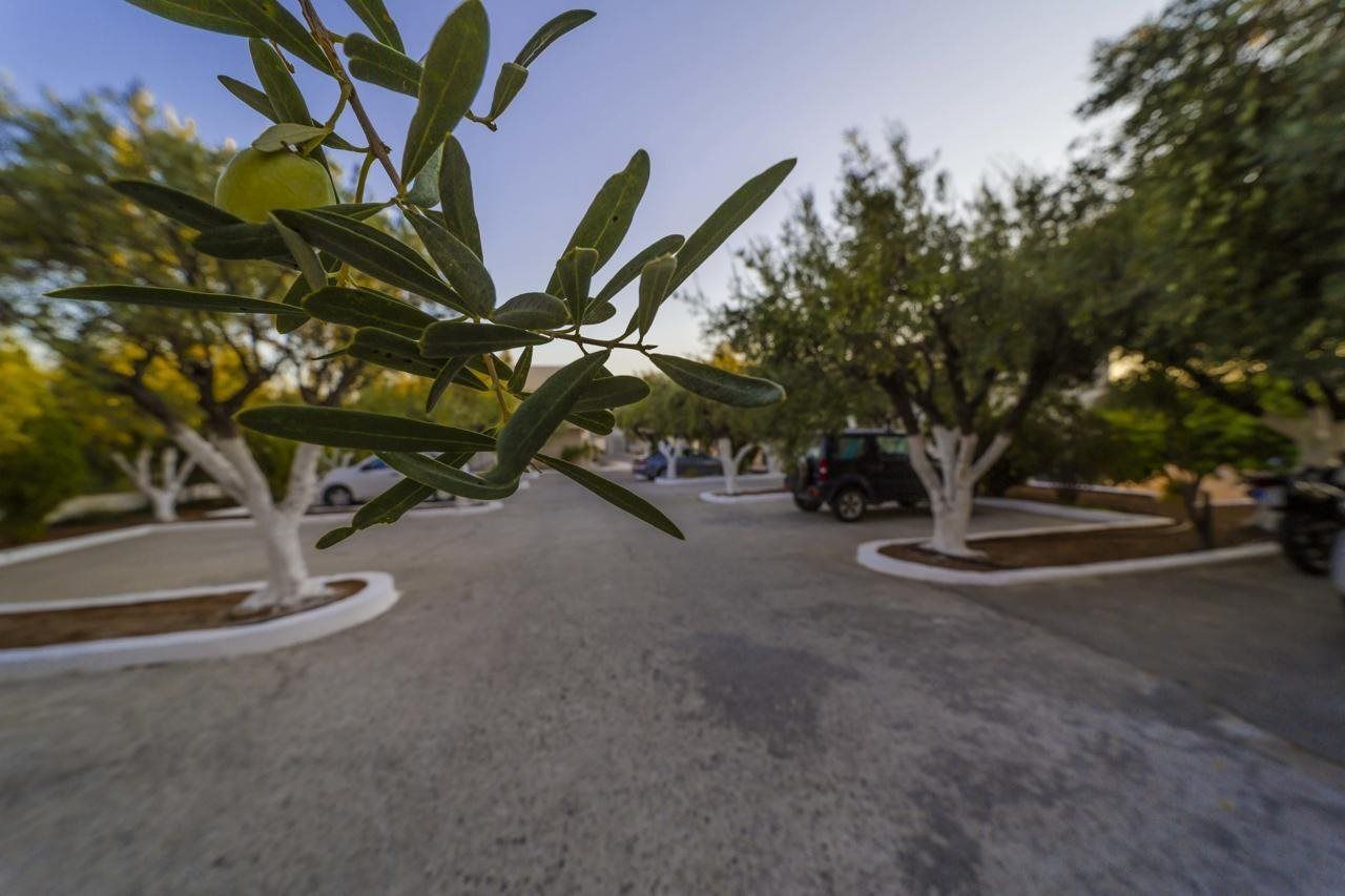 Amaryllis Beach Front Hotel, foto 10