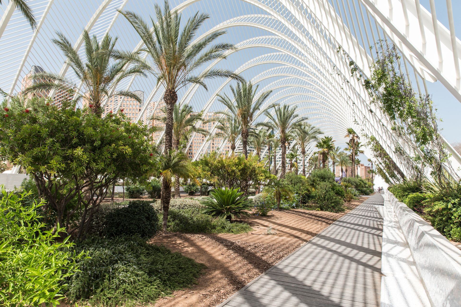 Barceló Valencia, foto 12