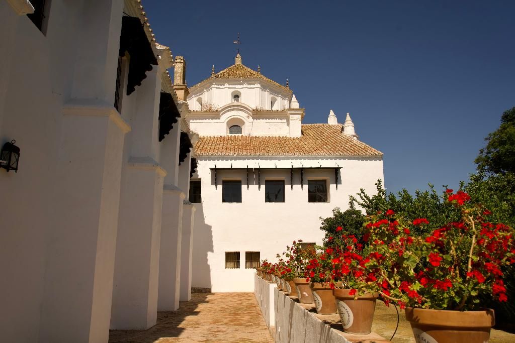Monasterio de San Francisco, foto 13