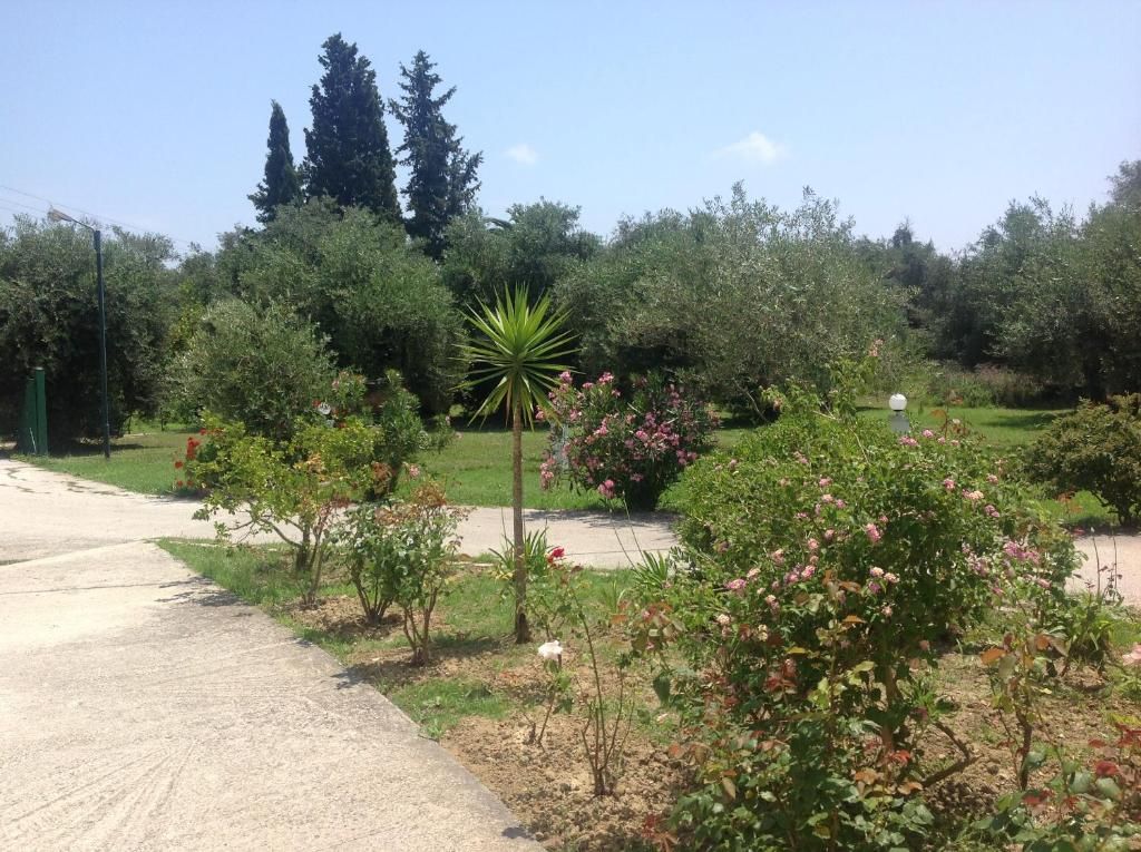 Yianetta Complex, foto 9