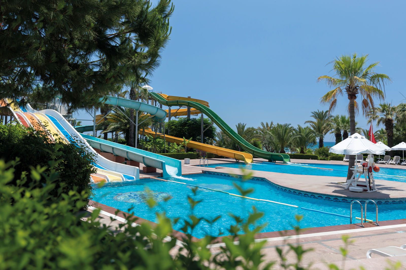 Paloma Oceana, foto 4