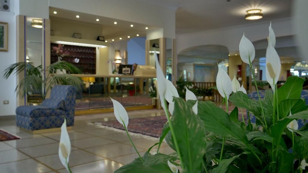 Hotel 501 Vibo Valentia, foto 3