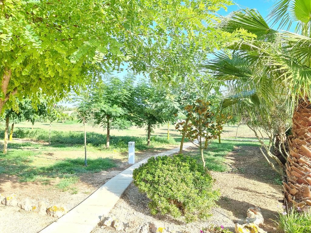 Agroturismo Son Juaneda, foto 13