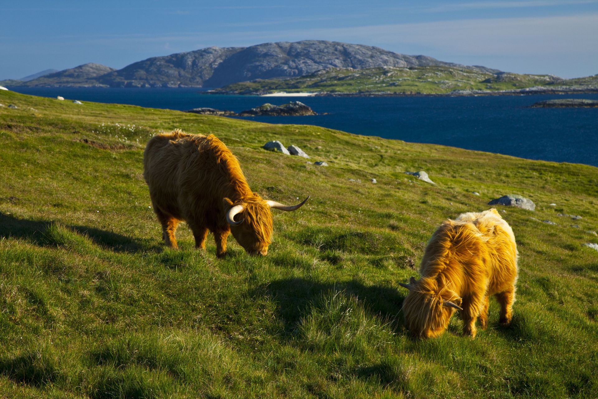Highlands en Hebriden, foto 7