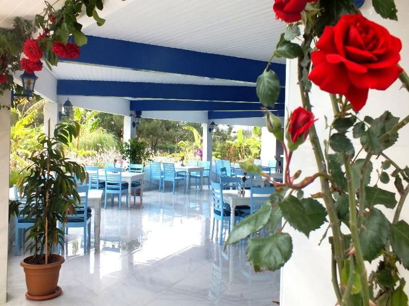 VONRESORT Elite, foto 10