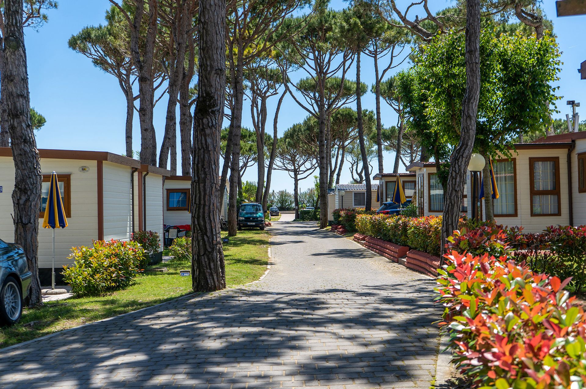 Baia Holiday Cavallino, foto 6