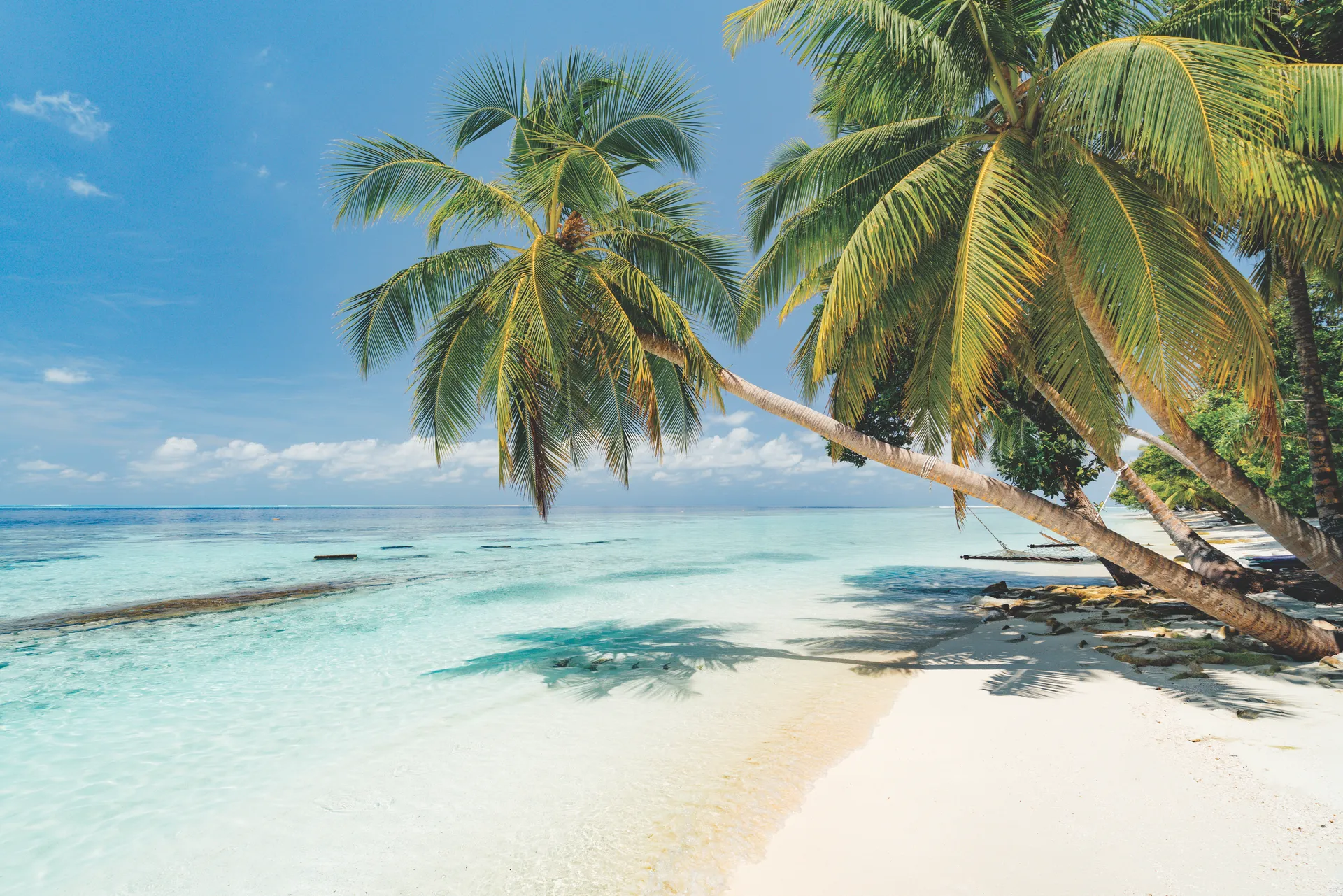 Op vakantie naar de Malediven? Boek nu je hotel in de Malediven met Neckermann. Scherpe prijzen, beste kwaliteit.