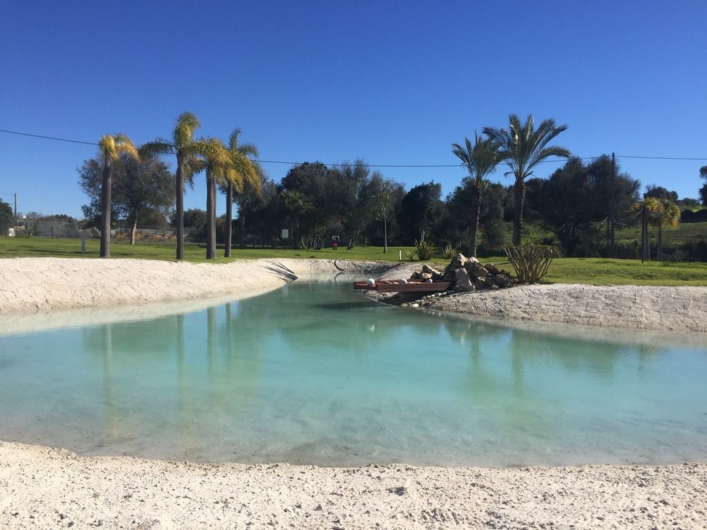The Navigator - Palm Oasis Alvor, foto 15
