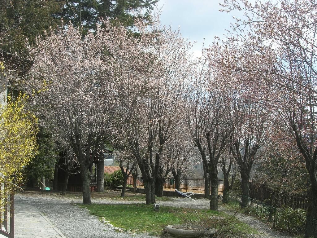 Villa Linda, foto 5