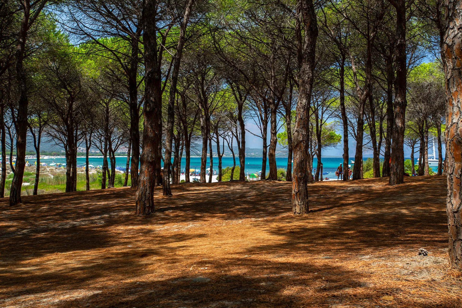 Opweg naar het strand