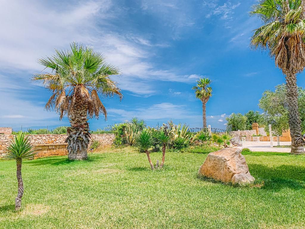 Masseria Tenuta Quintino, foto 6