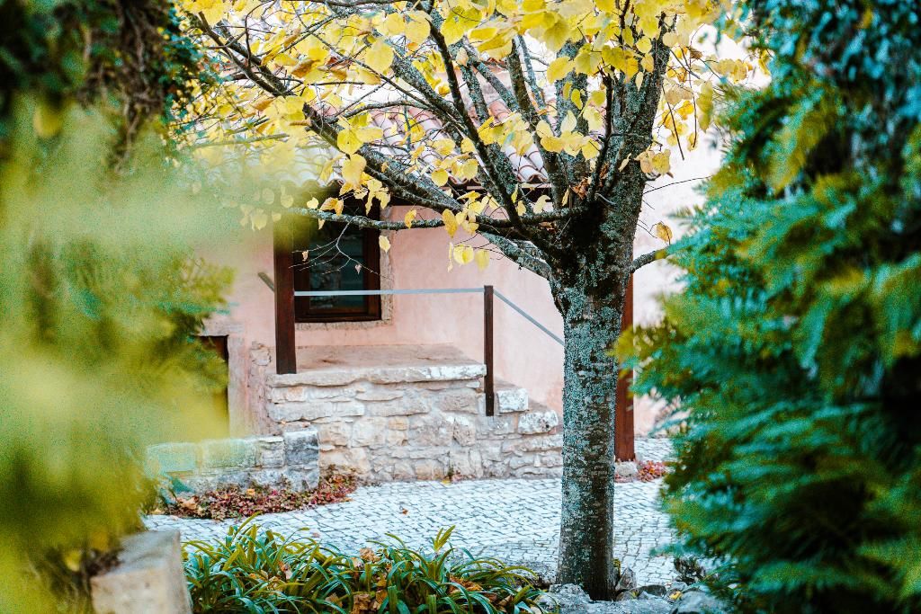 Villa Pedra Natural Houses, foto 10
