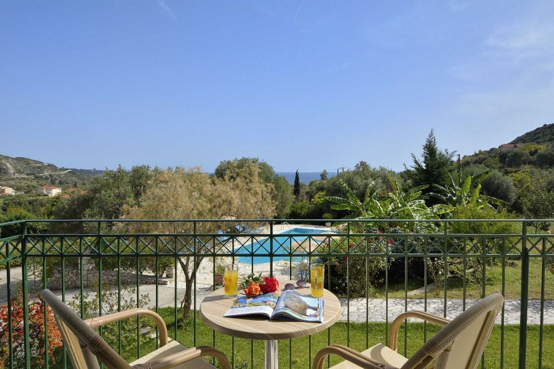 Anemona, foto 10