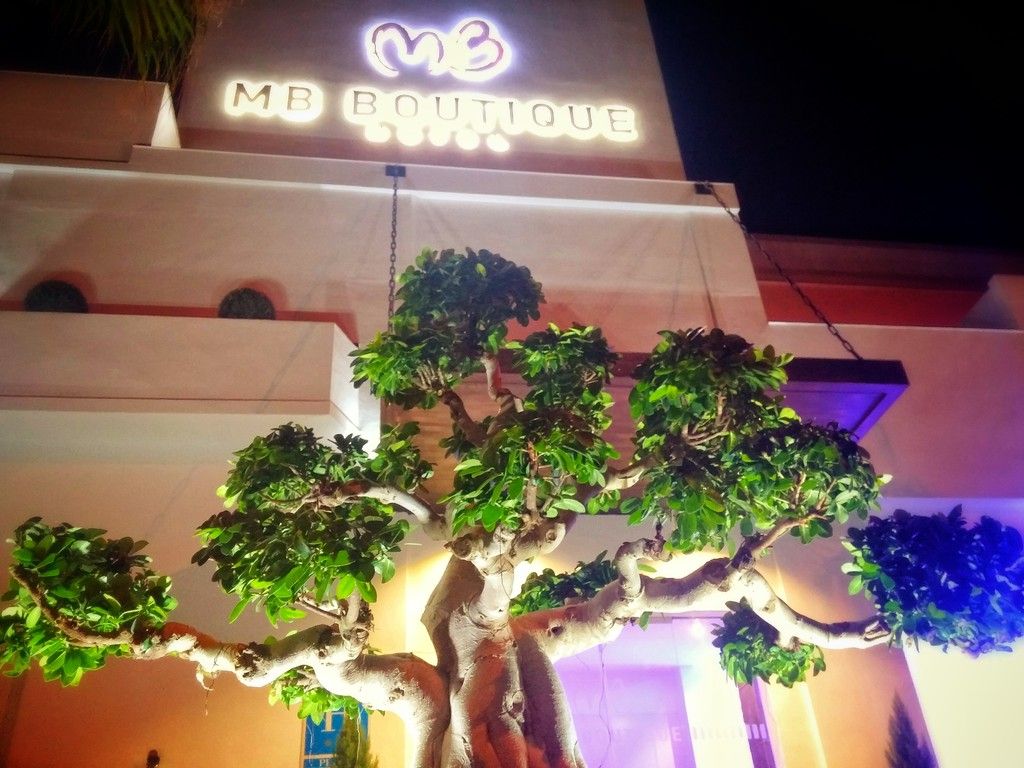 MB Boutique Hotel, foto 12