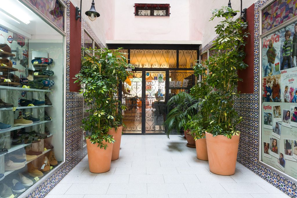 Hostal Sol y Miel, foto 9