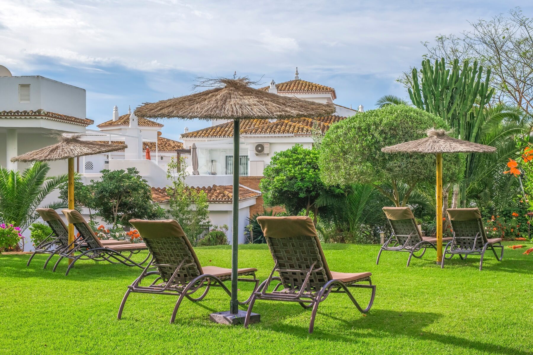 Royal Oasis Club at Pueblo Quinta, foto 15