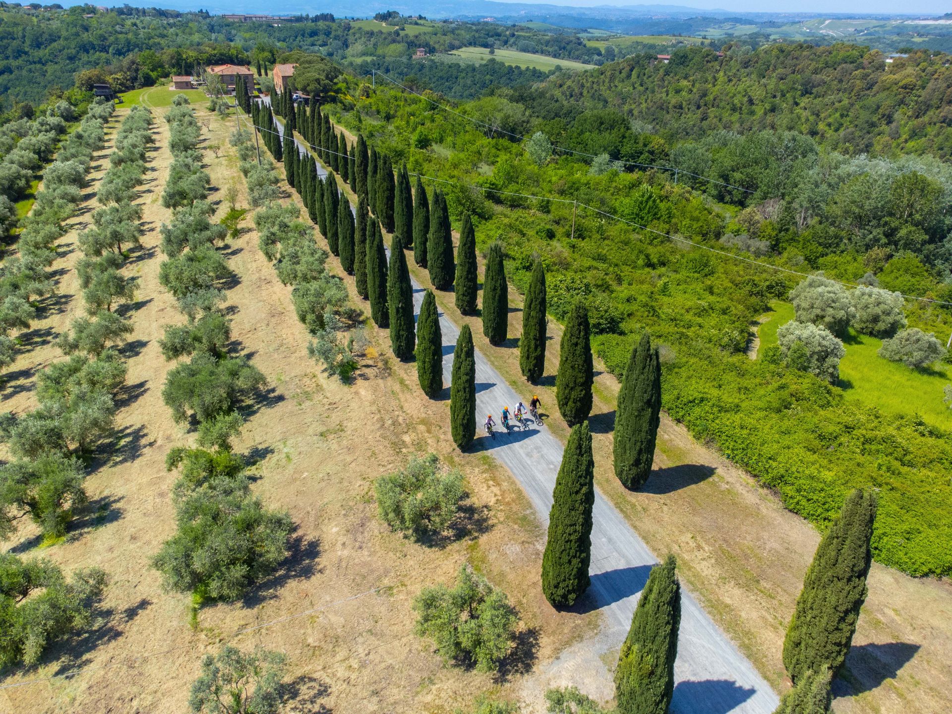Tenuta Castellare di Tonda, foto 3