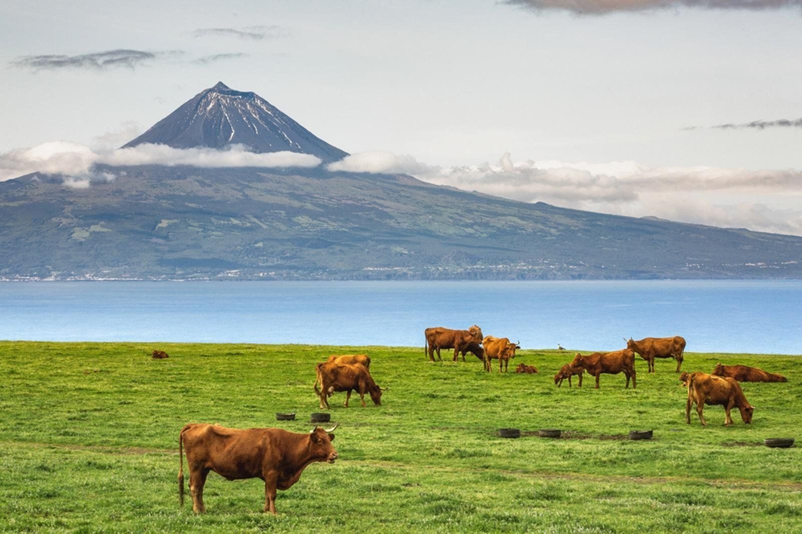 Great Azorean Circuit per huurauto, foto 14