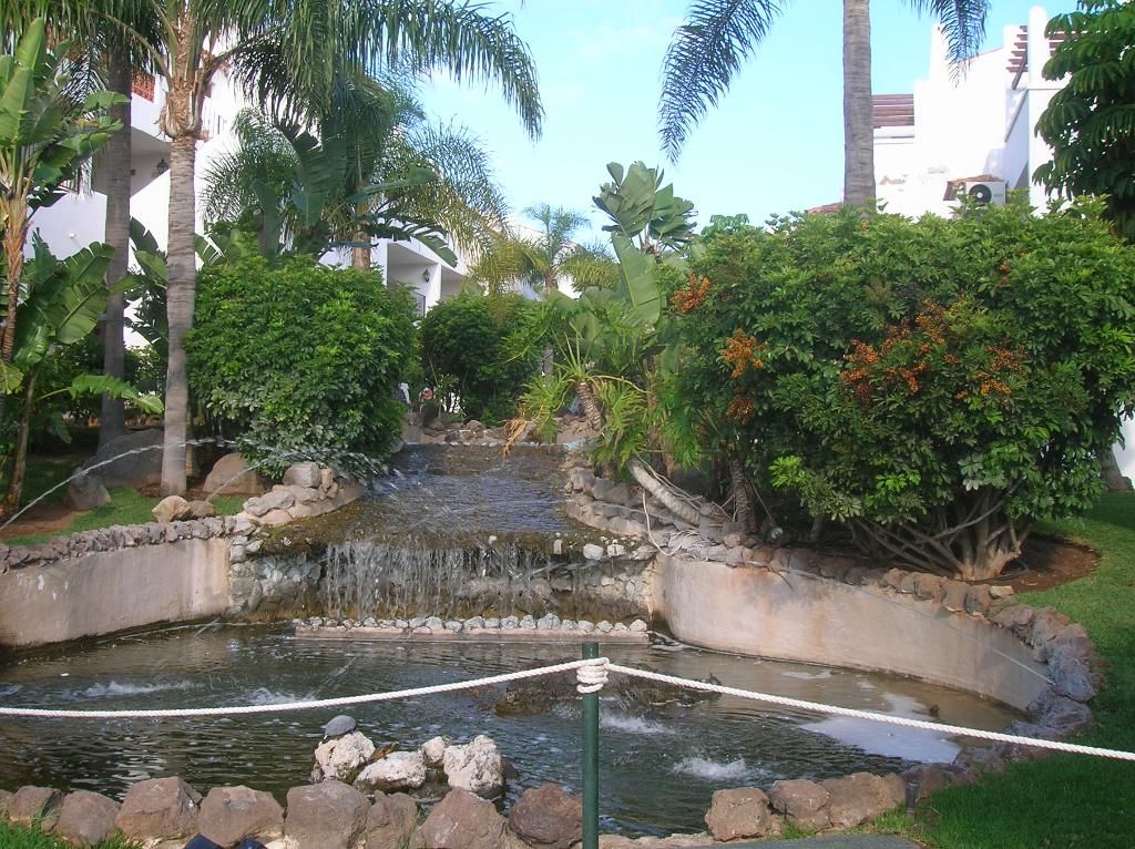 Fairways Club - Amarilla Golf & Country Club, foto 5