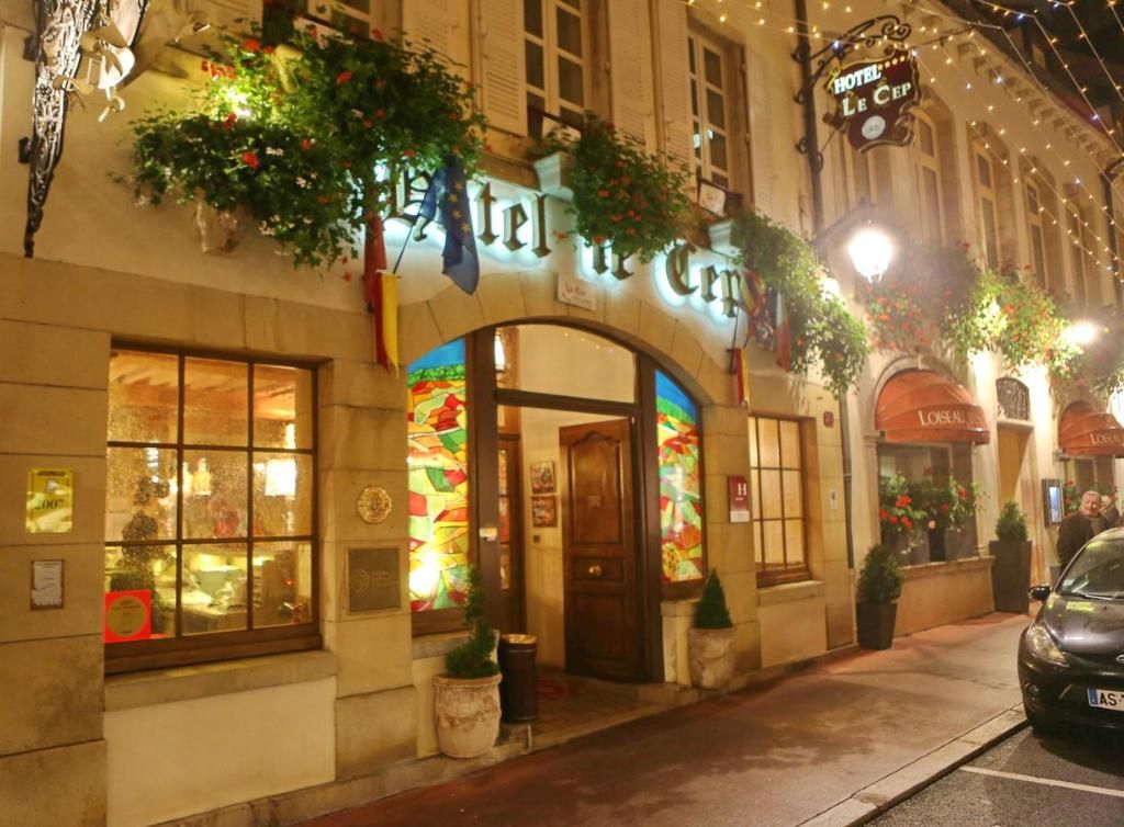 Hôtel Le Cep & Spa, foto 8