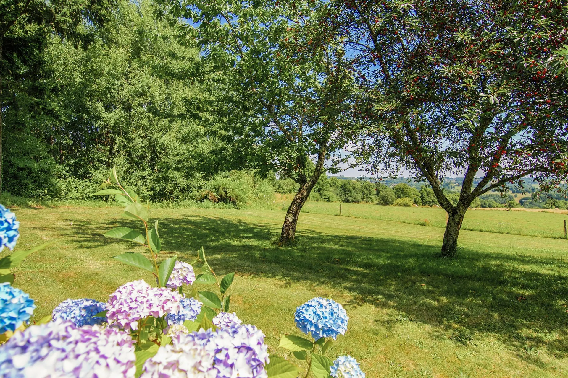 Vue de la maison de vacances (été)