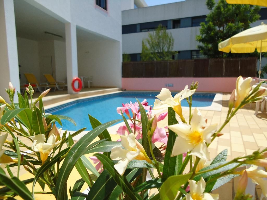 Marina S. Roque, foto 8