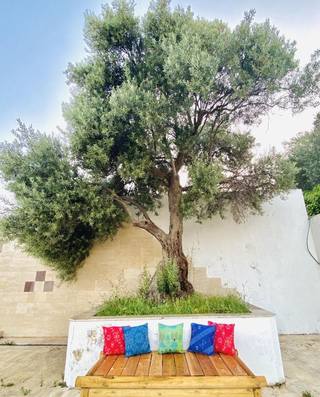 Alacati Barbarossa Hotel, foto 3
