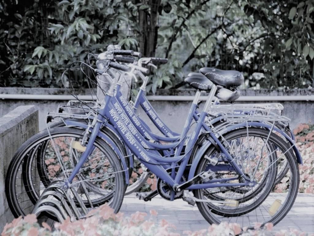 Novo Rossi, foto 5