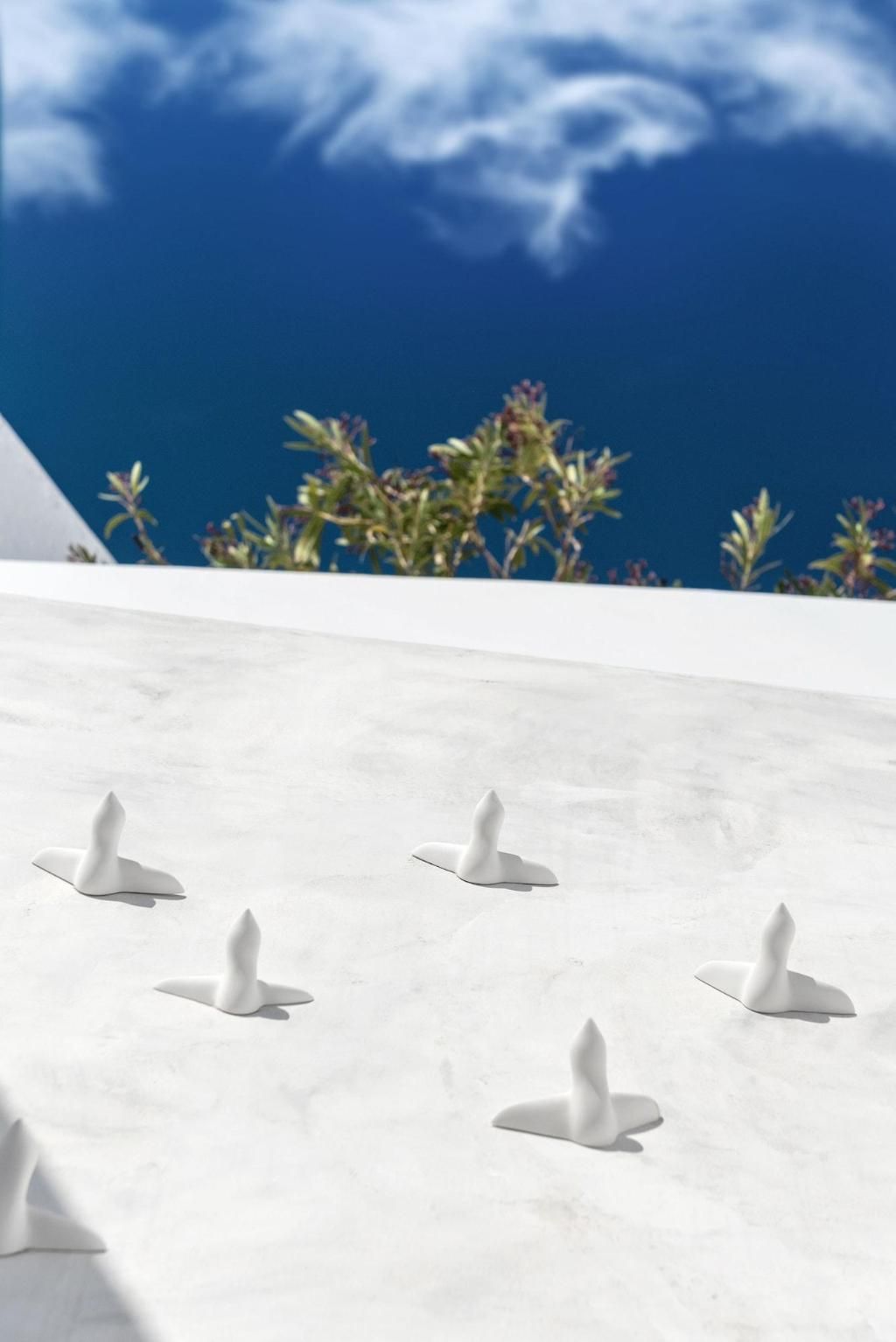 Saluti Da Stampalia Suites, foto 15