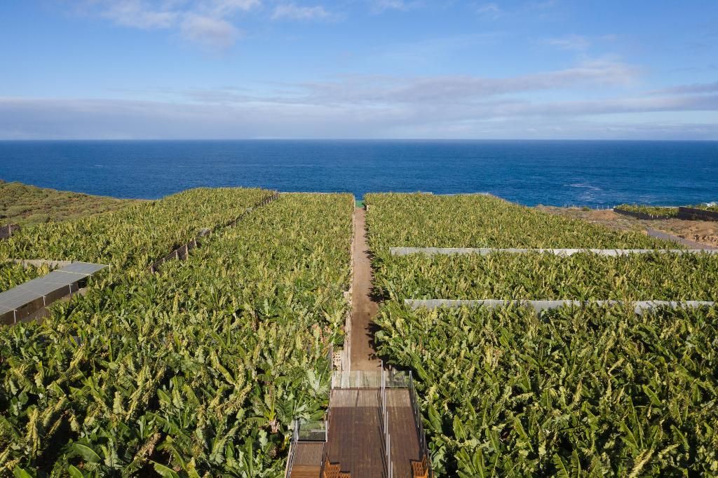 Hacienda La Dehesa, foto 9