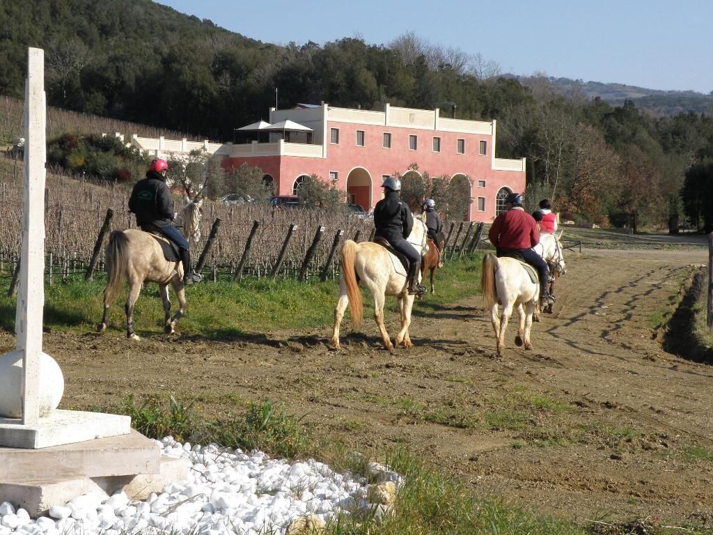 Tenuta Il Sassone, foto 2