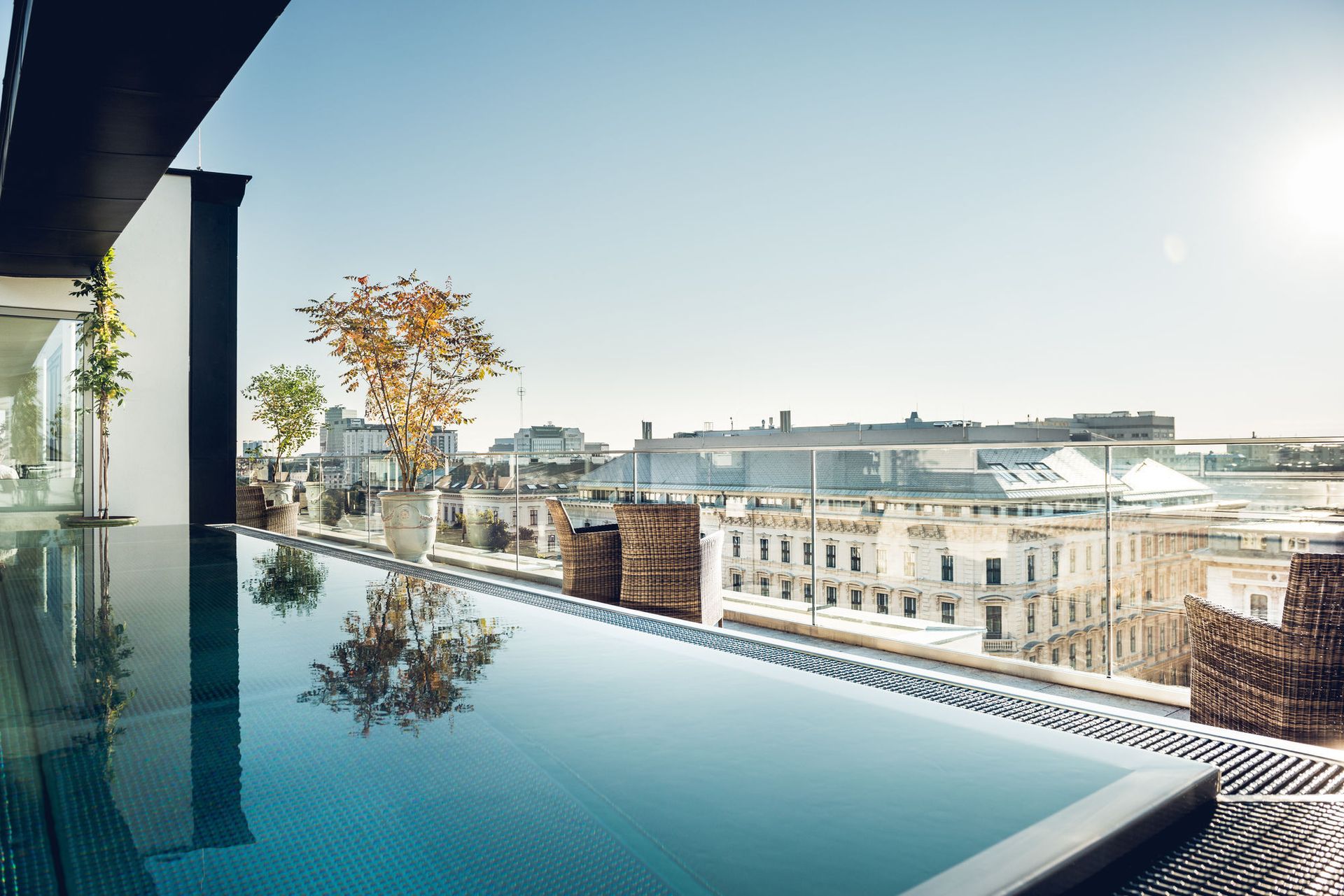 Grand Ferdinand, foto 2