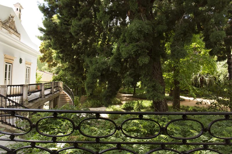 Quinta Das Lagrimas, foto 12