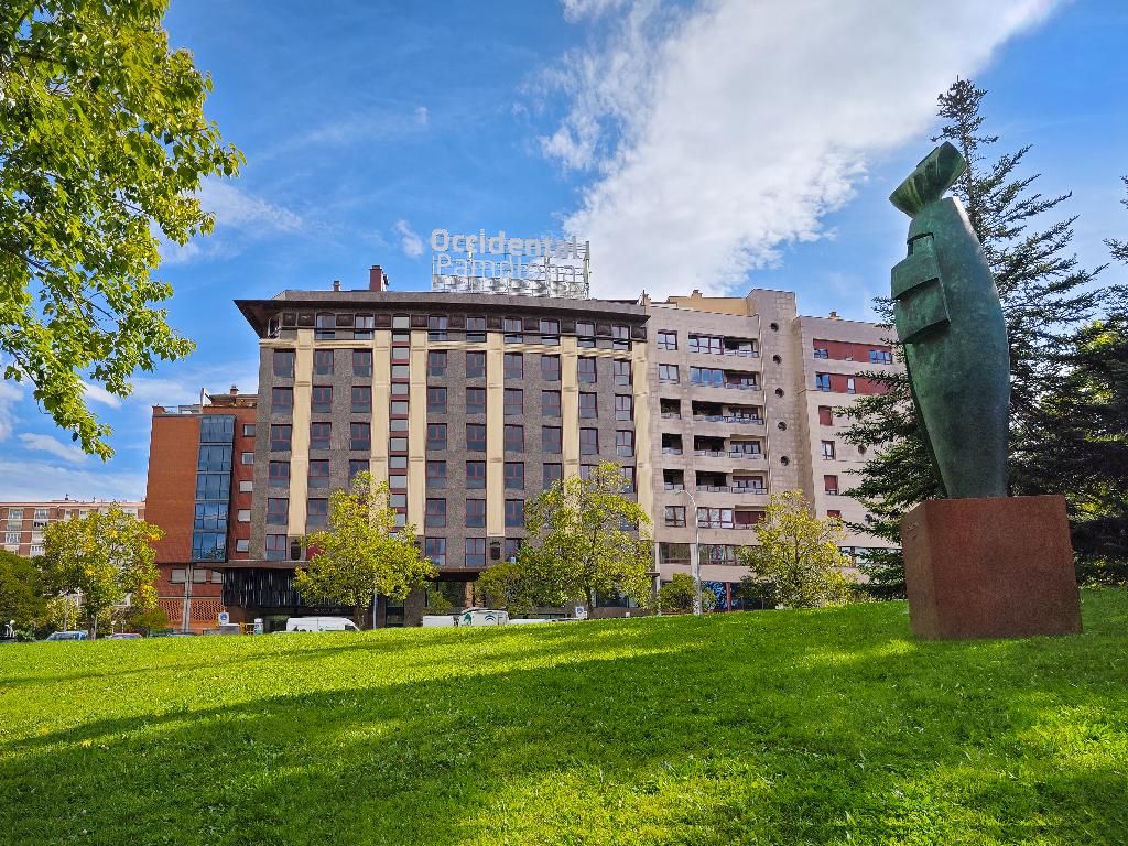 Occidental Pamplona, foto 14