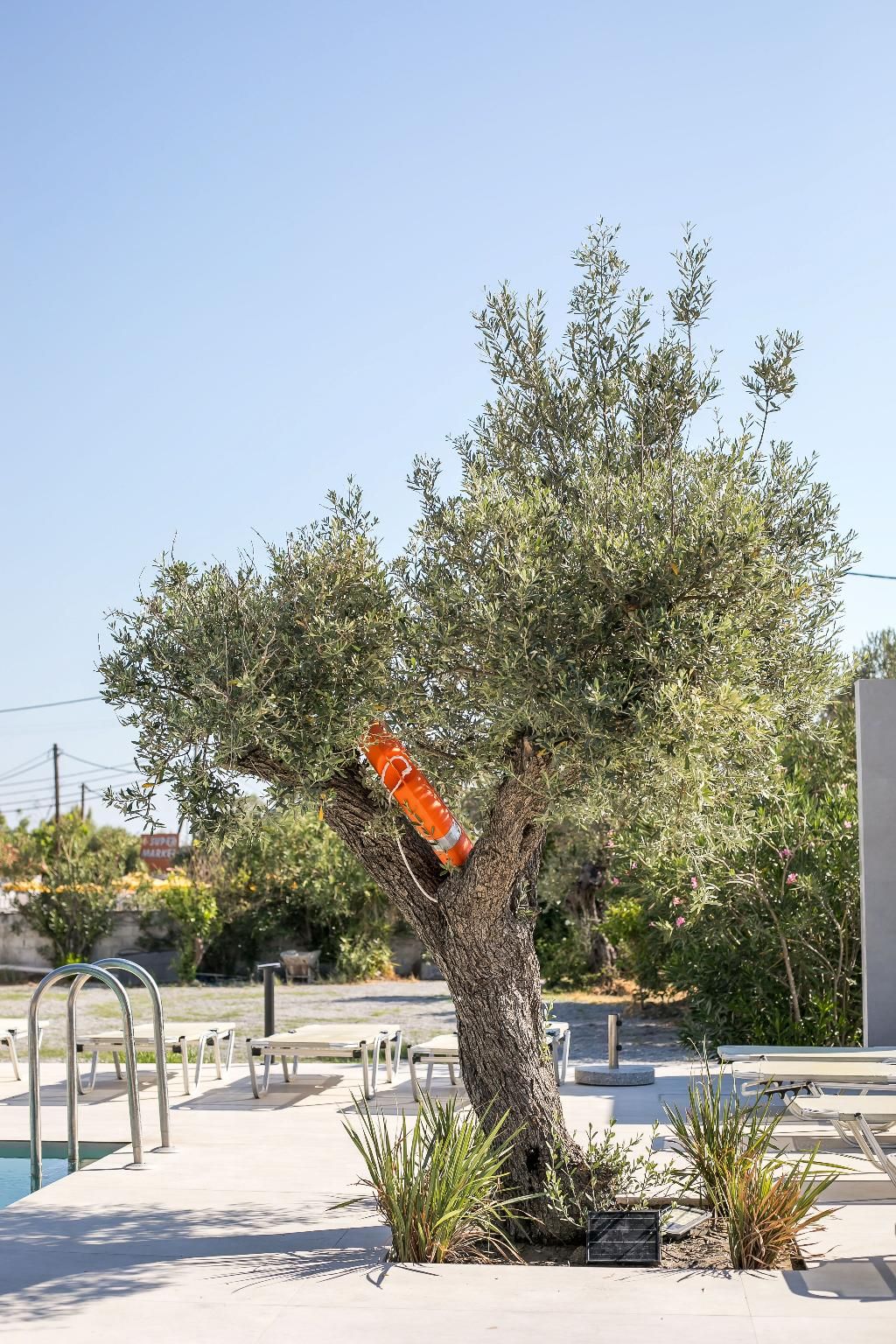 Nikos BnB, foto 11