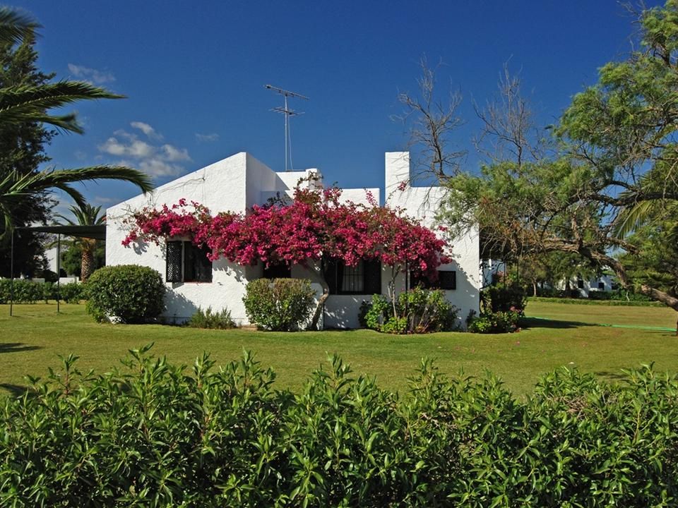 Pedras D'el Rei, foto 2