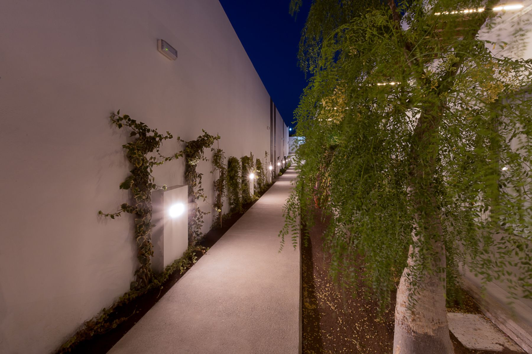 Aevum Resort, foto 13