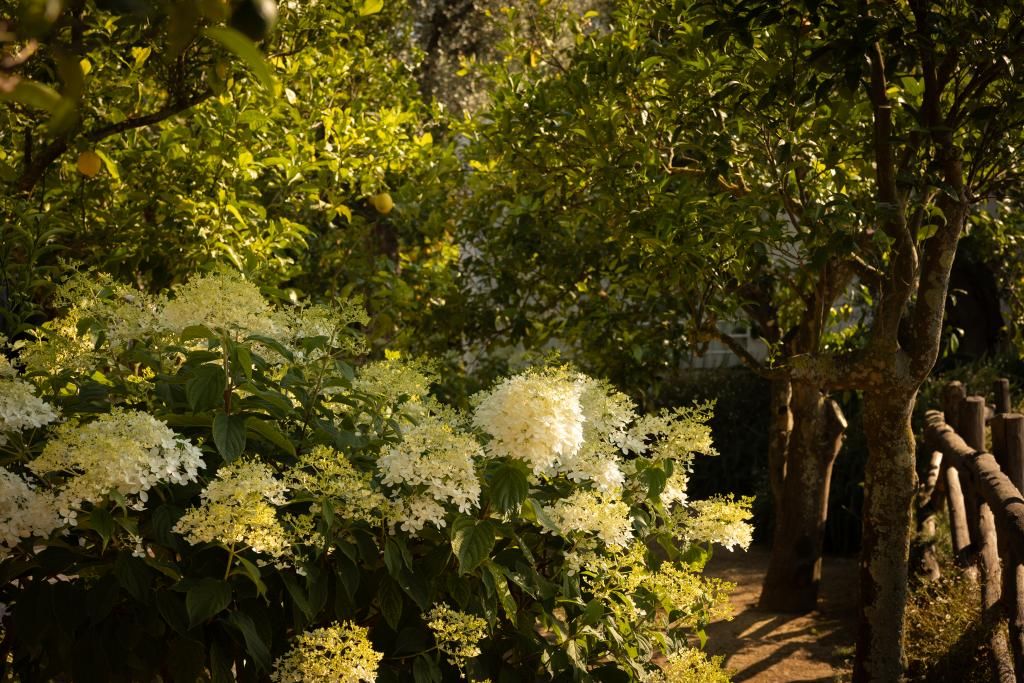 Villa Oriana Relais, foto 13