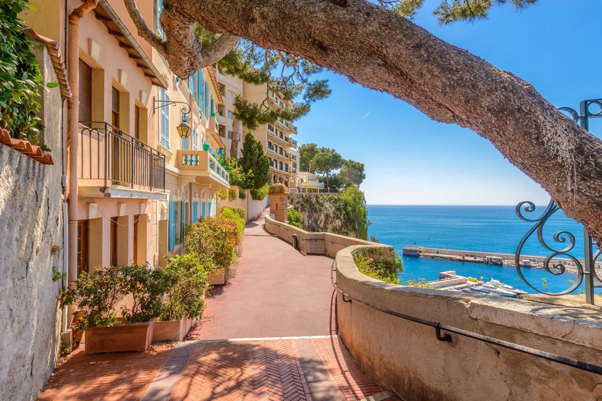 Italiaanse Bloemenrivièra, Alassio, foto 3